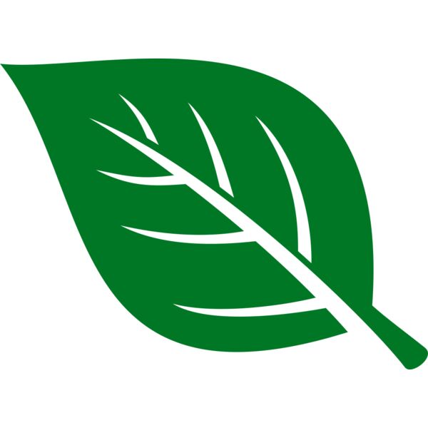 Leaf Thumbnail