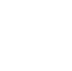 The Inclusive Bean
